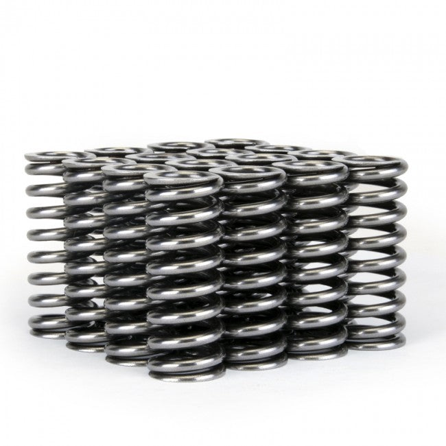 VALVE SPRINGS S2000 F SERIES 2.0-2.2L DOHC VTEC SET OF 16 DUAL