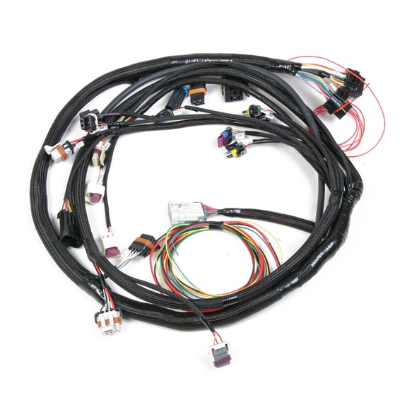 HOLLEY EFI UNIVERSAL MPFI MAIN HARNESS