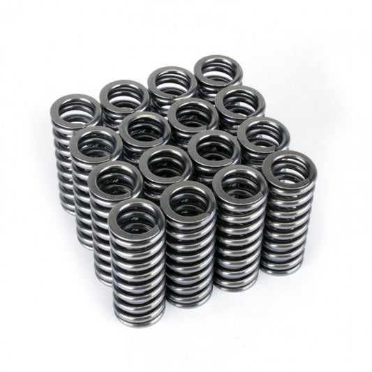 SKUNK2 VALVE SPRINGS D16Y-Z SOHC VTEC SET OF 16 SINGLE