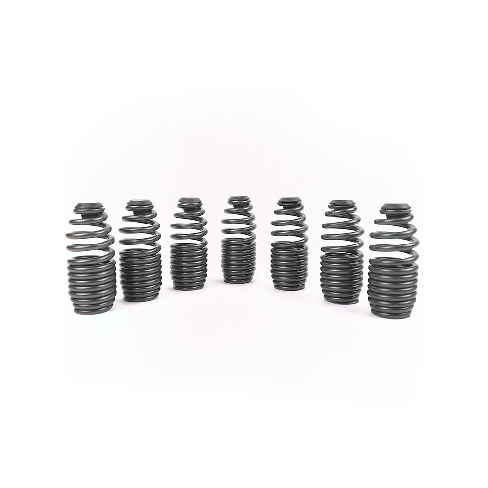 Supertech Honda B series Loss Motion beehive spring kit / each