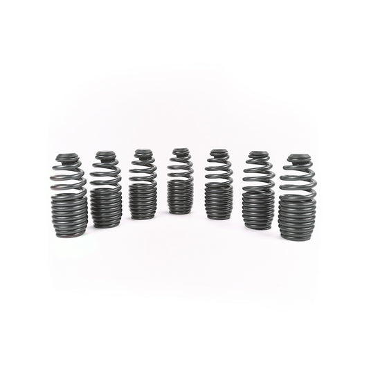 Supertech Honda B series Loss Motion beehive spring kit / each